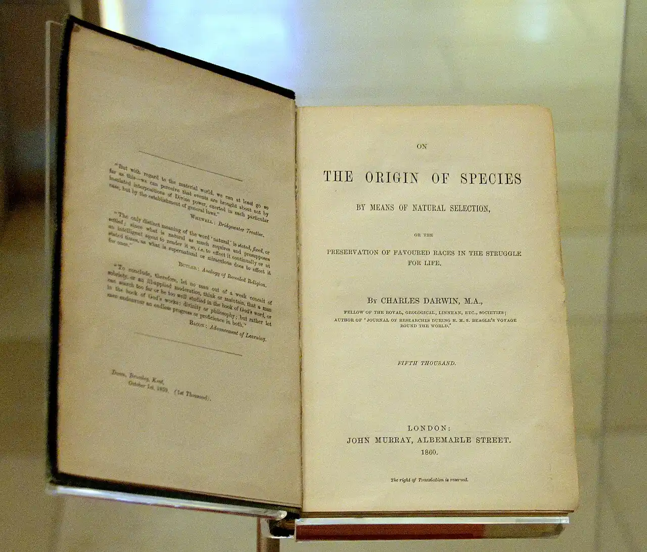 1859 AD — The Publication of 'On the Origin of Species'